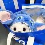 Beatriz Lozano Avatar